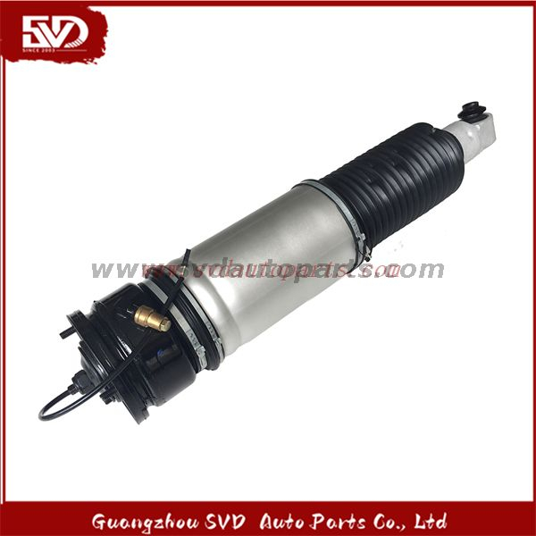 SVD-BMW 37126785536 Shock Absorber For BMW