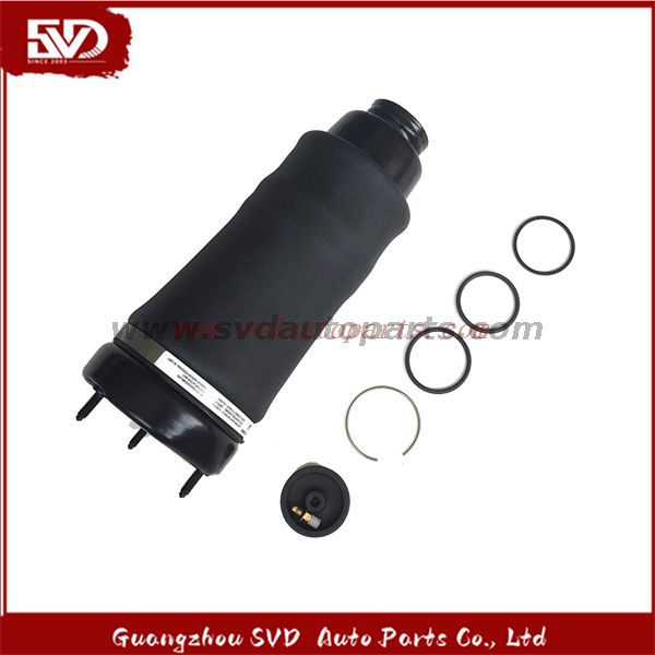 SVD-Benz 2513203013 Shock Absorber For Benz