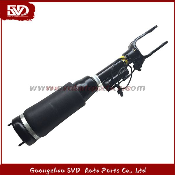 SVD-Benz 2513203013 Shock Absorber For Benz