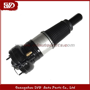 SVD-Audi 4H0616039AD Shock Absorber For Audi
