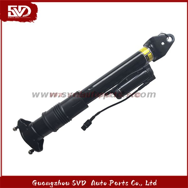 SVD-Benz 2513201931 Shock Absorber For Benz