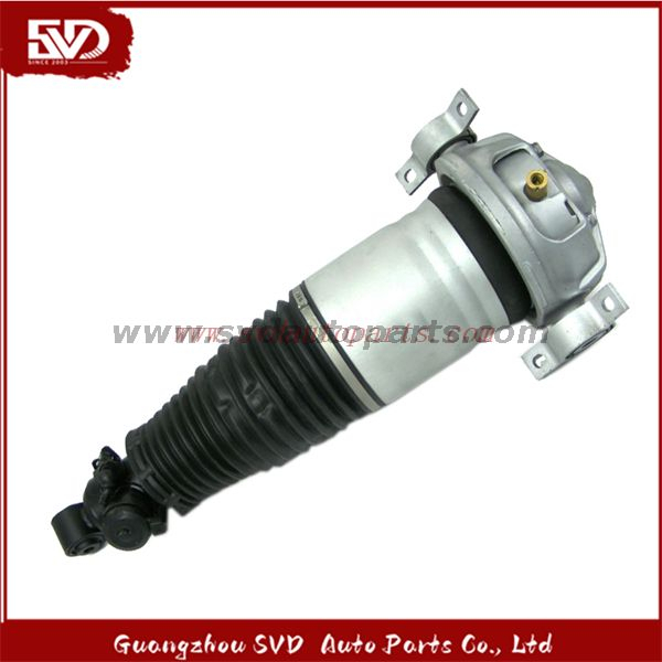 SVD-Audi 7L8616019D Shock Absorber For Audi