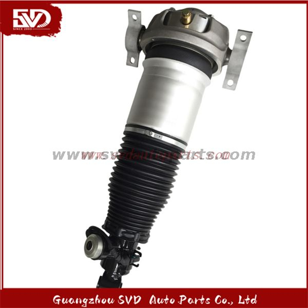 SVD-Audi 7L8616020D Shock Absorber For Audi