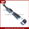 SVD-Benz 2213200438 Shock Absorber For Benz